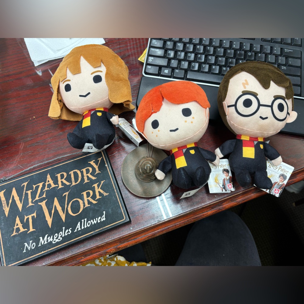 Harry Potter Bundle- dolls, sorting hat and wall decor